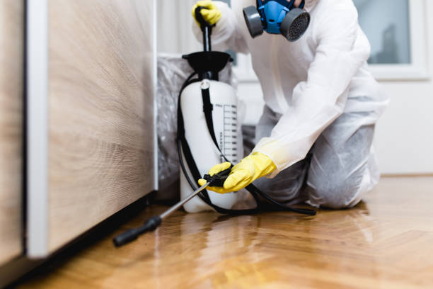 Best Termite Control Services  in Stansberry Lake, WA