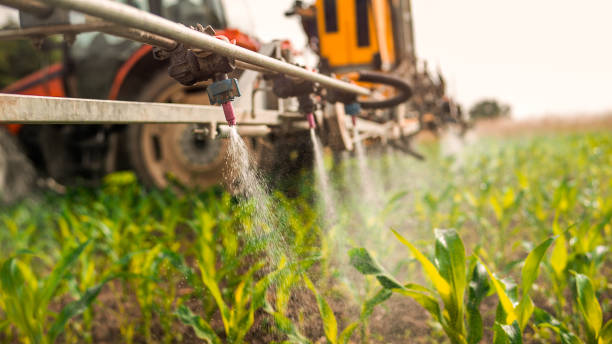 Pest Prevention Services in Stansberry Lake, WA